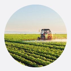 AGROINDUSTRIA